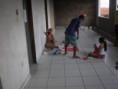 /album/a15-de-agosto-sao-tarcisio/pa220231-jpg/